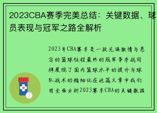 2023CBA赛季完美总结：关键数据、球员表现与冠军之路全解析