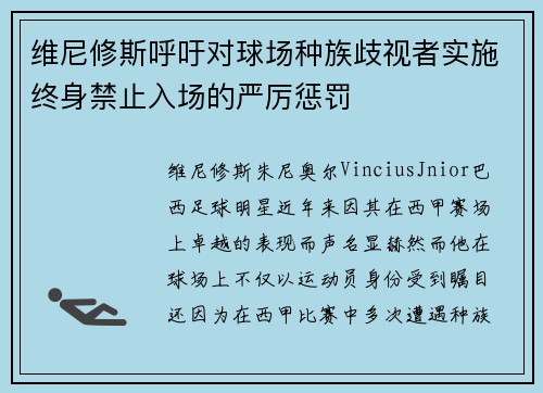 维尼修斯呼吁对球场种族歧视者实施终身禁止入场的严厉惩罚 维尼修斯呼吁对球场种族歧视者实施终身禁止入场的严厉惩罚